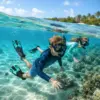 Kurze Schnorchelflossen XS 32–36 – verstellbare Schwimmflossen in Türkis/Schwarz