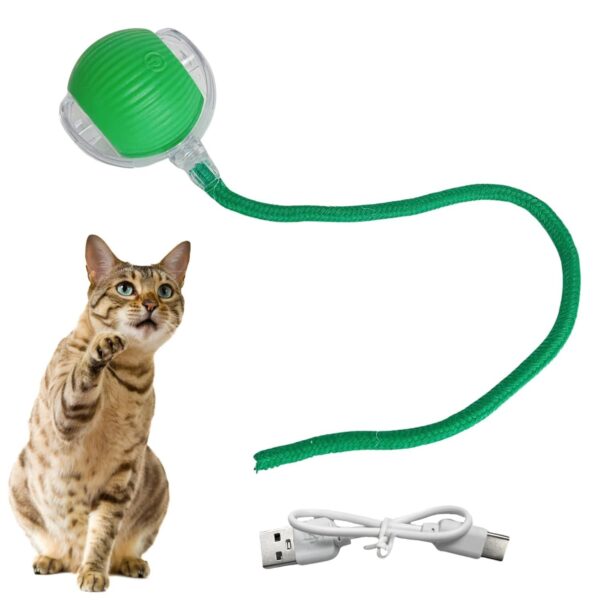 501b2232b71d13806a2d61ac1590ca4d.jpg Interaktiver Katzenball mit USB-C Ladefunktion – Selbstrollendes Katzenspielzeug mit LED & Sound, 3 Modi, Automatischer Bewegungsball mit Schnur