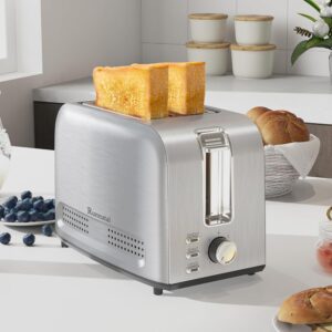 66a06c26a00f294c38527bae756f0629.jpg Edelstahl Toaster 2-Scheiben – 7 Bräunungsstufen, Auftauen & Aufwärmen, extrabreite Schlitze, Krümelschublade, 850W – Leichte Reinigung